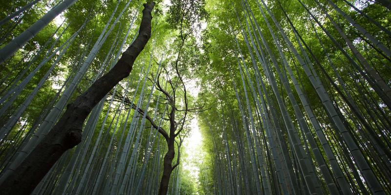 系统核心概念详解
